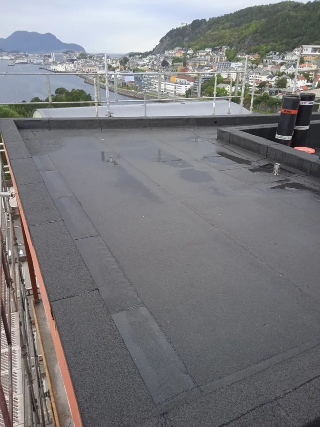 Fri- sikt Ålesund