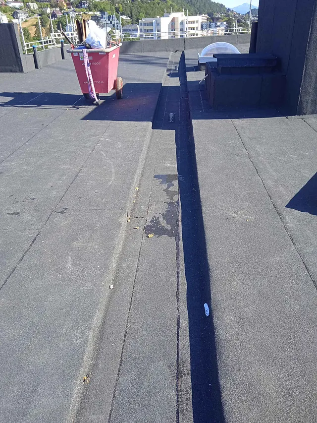 Fri- sikt Ålesund